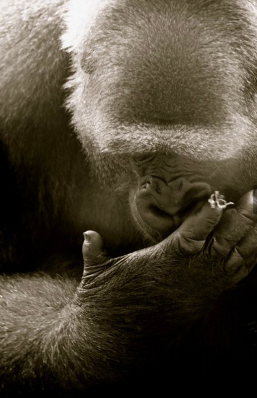 Alternative storytelling #14