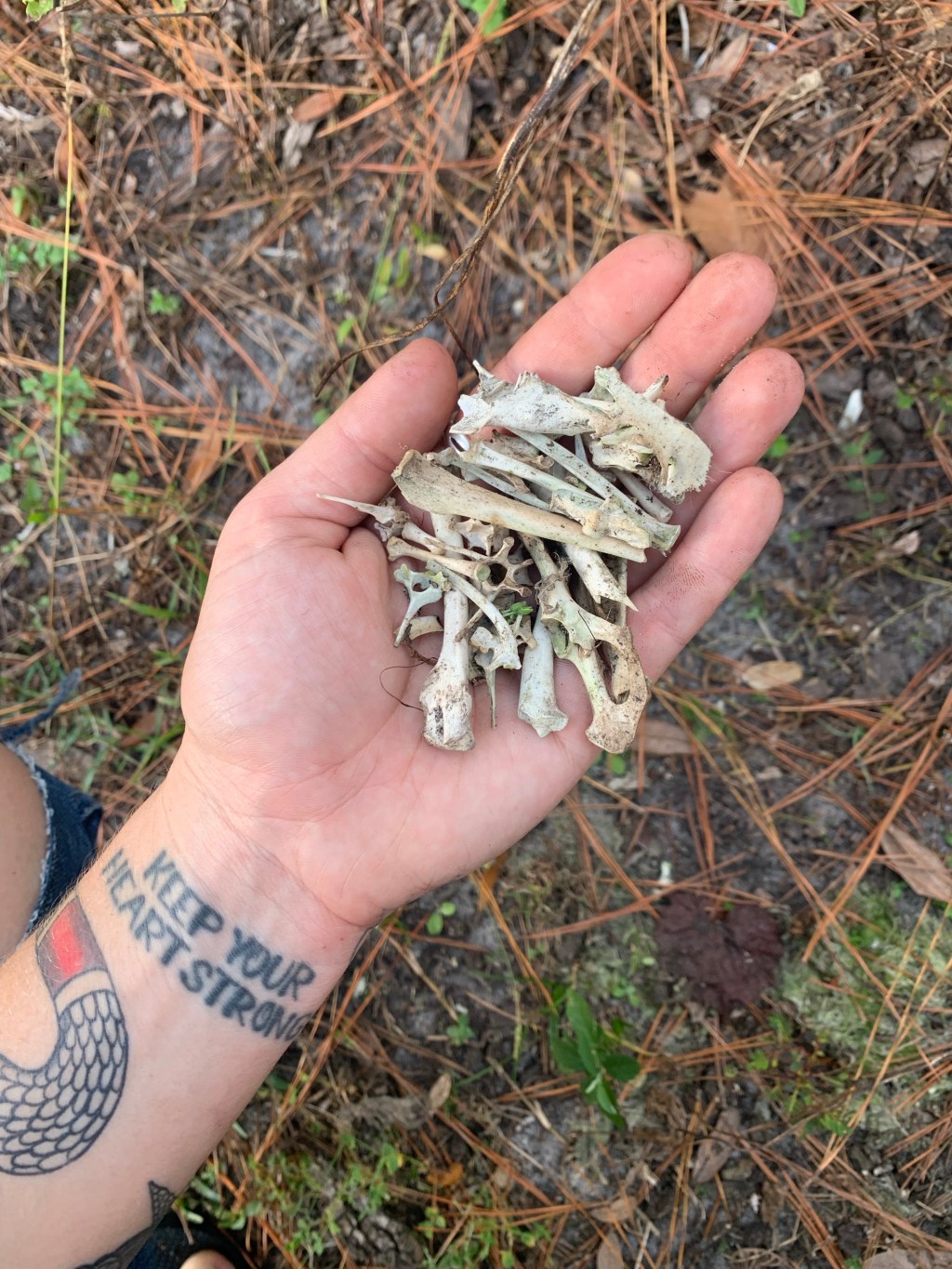 Alternative storytelling #5