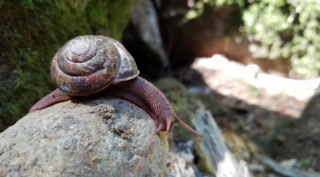 Alternative storytelling #7