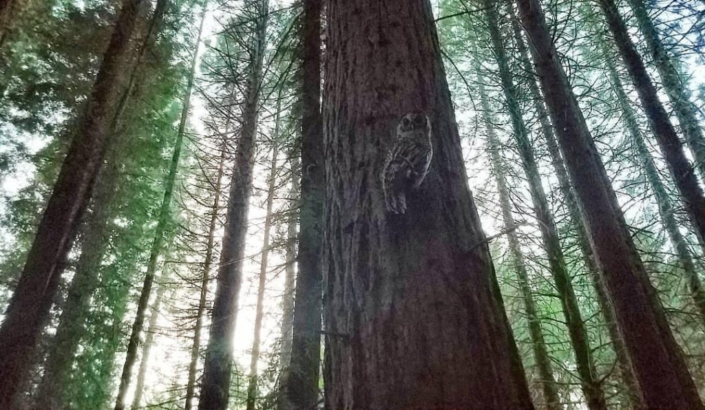 Alternative storytelling #8