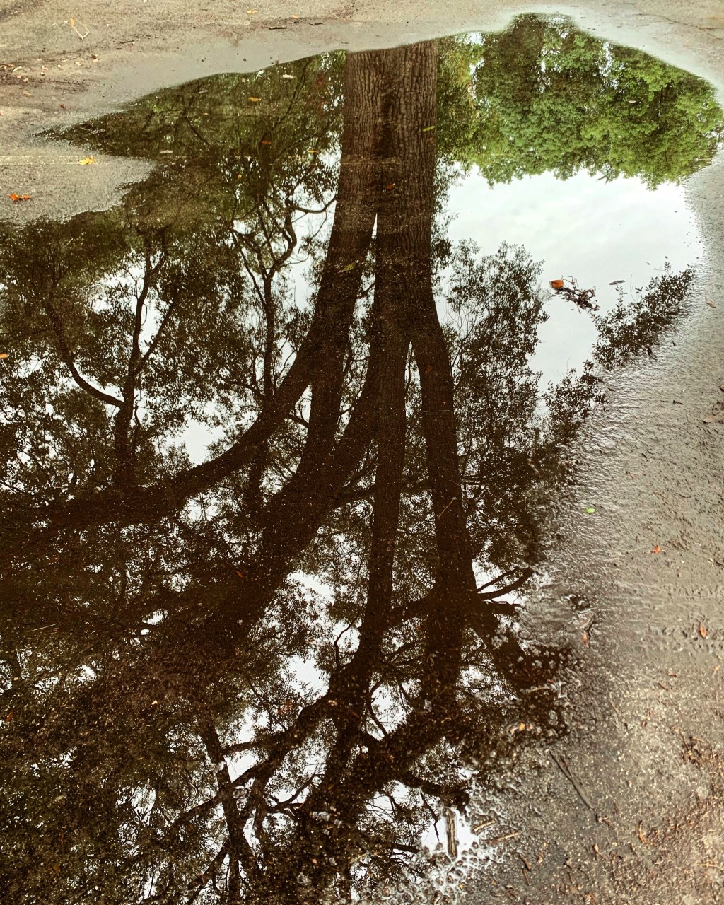 Beauty in the&nbsp;breakdown