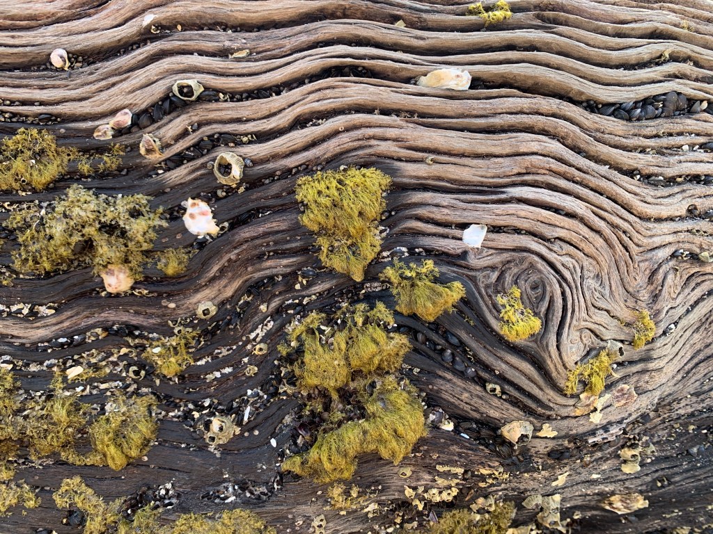 Alternative storytelling #15