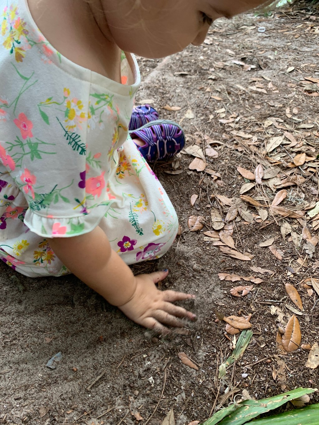 Early quarantine days