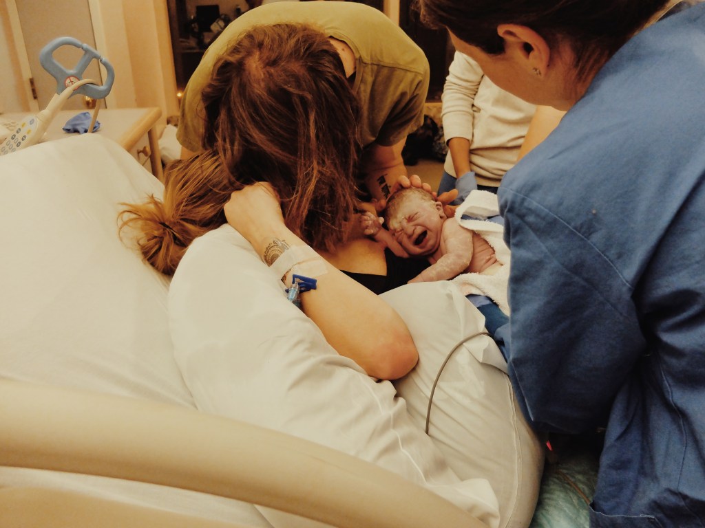 Rapid Rebirth pt.&nbsp;2